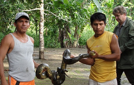Iquitos Peru / Brazil hatr